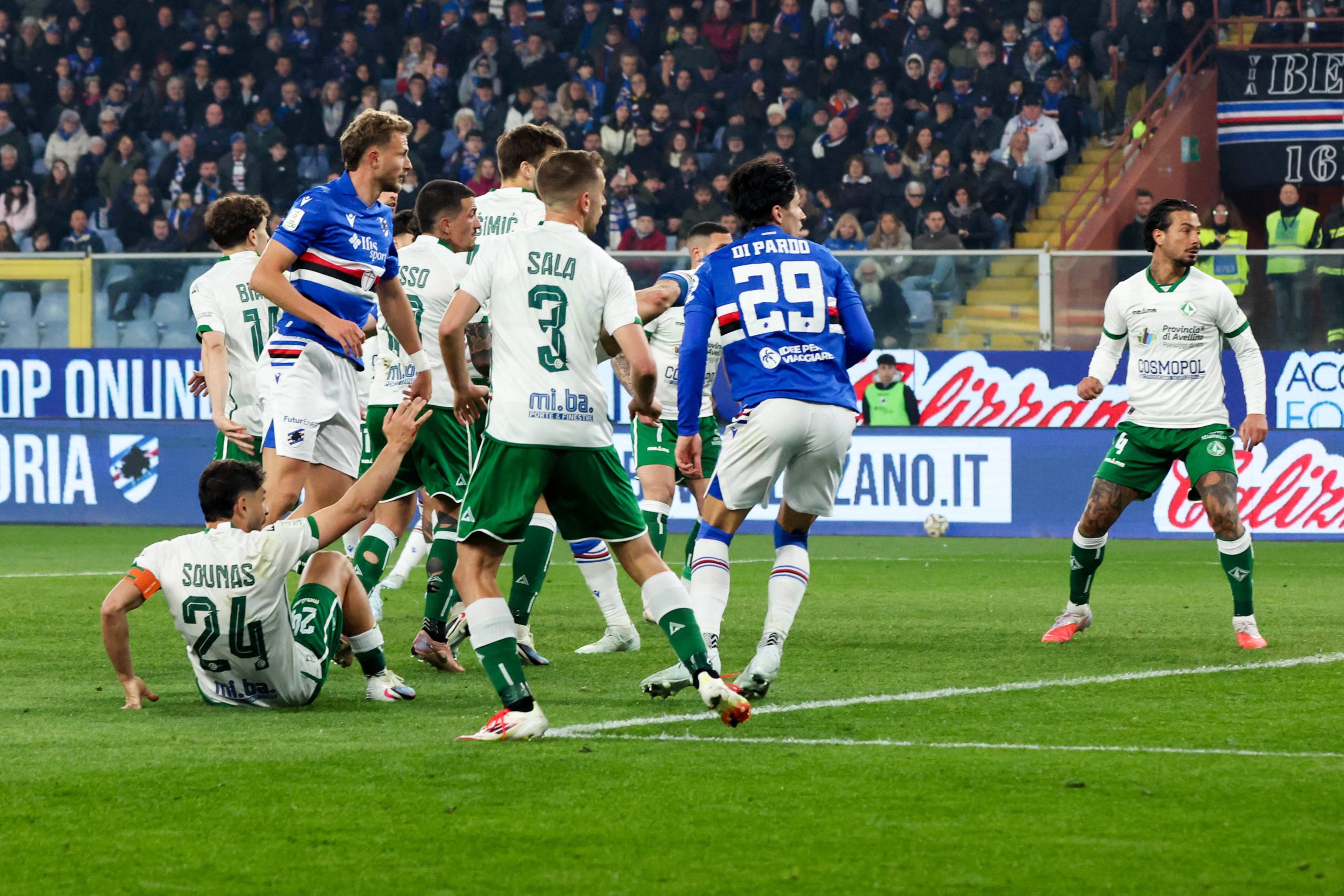 Sampdoria-Avellino