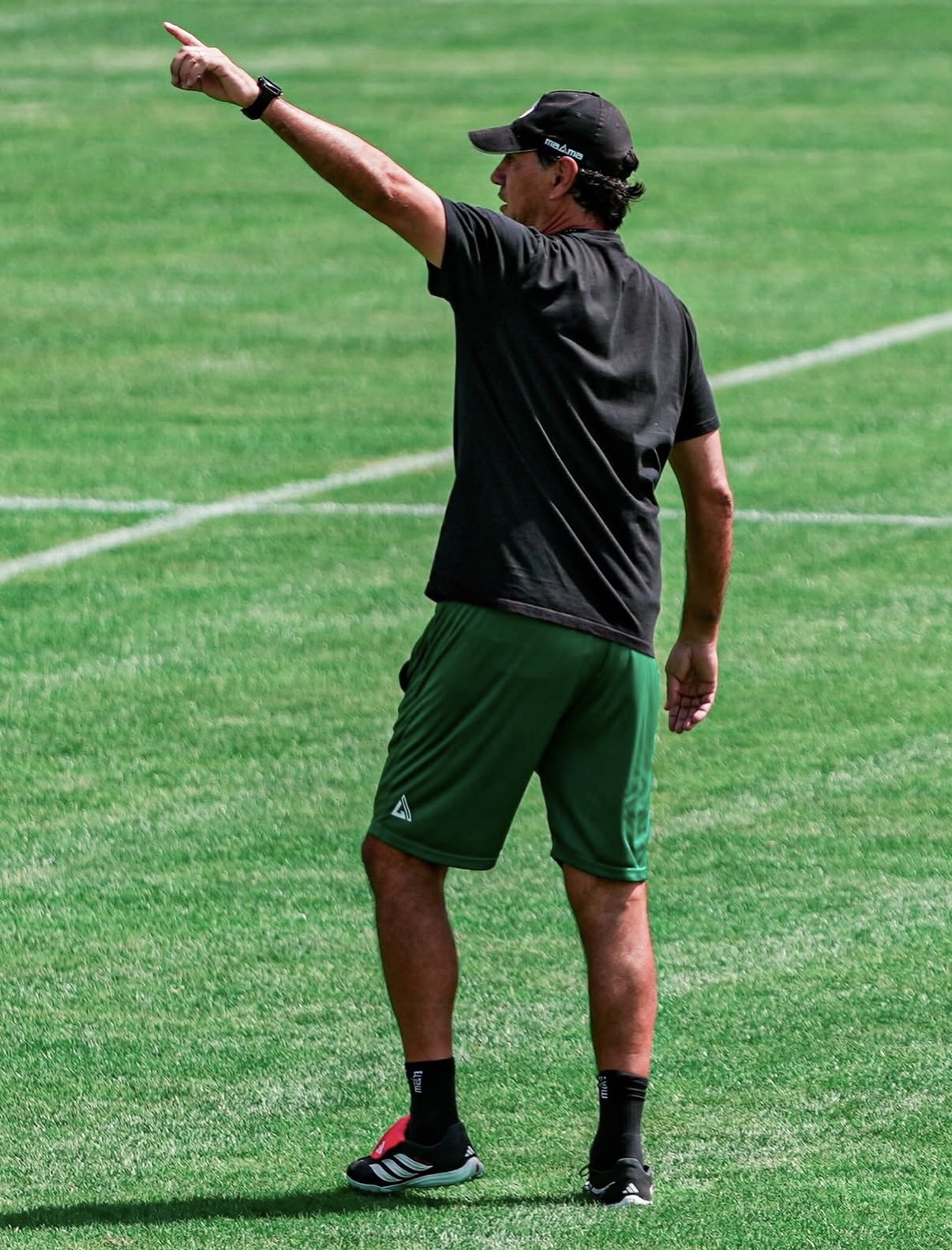 Nesta